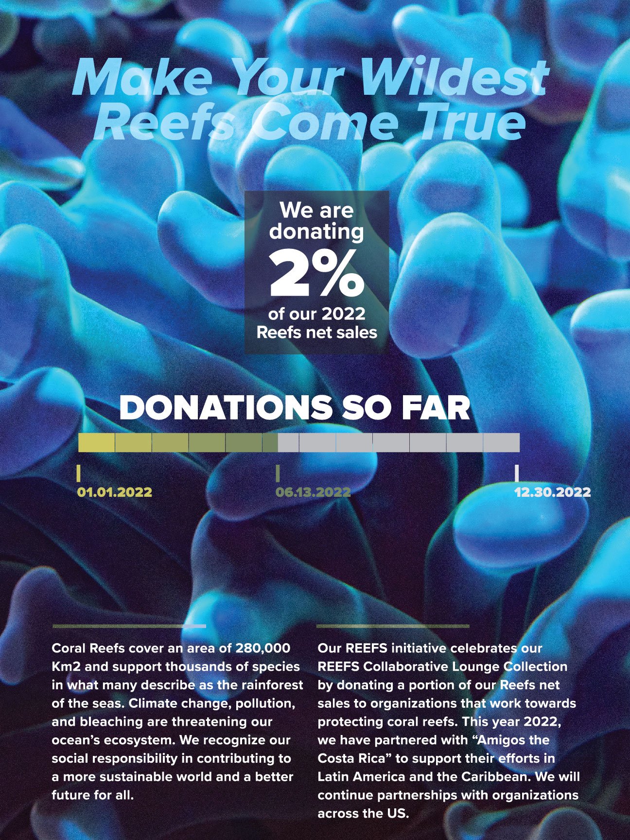 DHDG_ReefsInitiative_OnePager_18x24-01